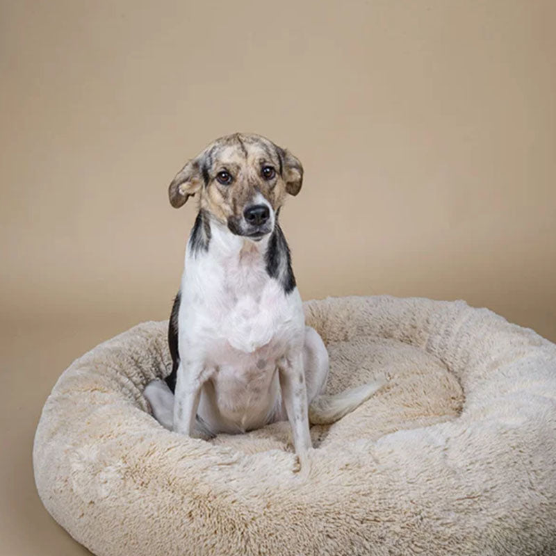 Donut Hundeseng Ortopædisk