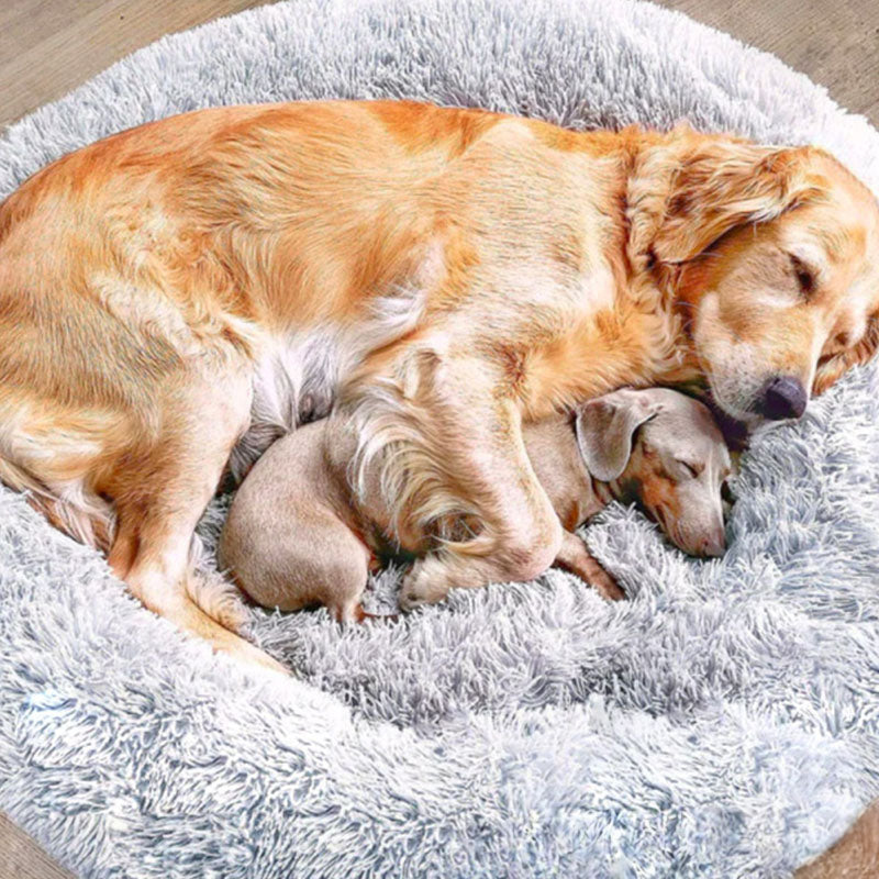 Donut Hundeseng Ortopædisk