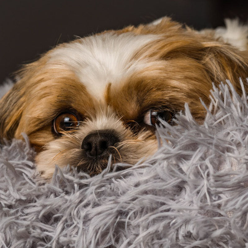 Donut Hundeseng Ortopædisk