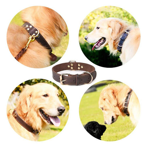 hundehalsbånd læder