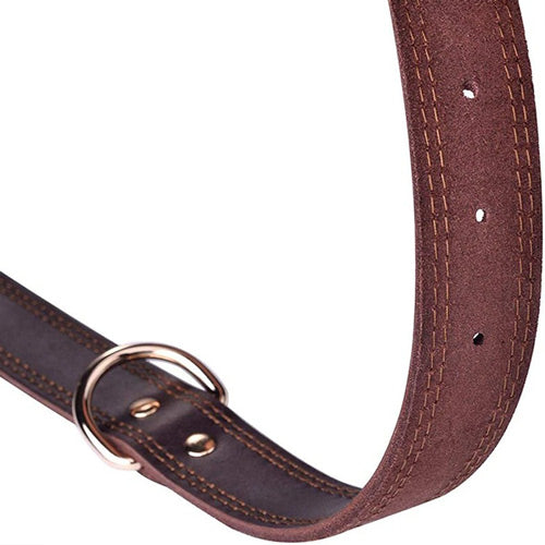 hundehalsbånd læder