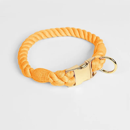 flotte hundehalsbånd