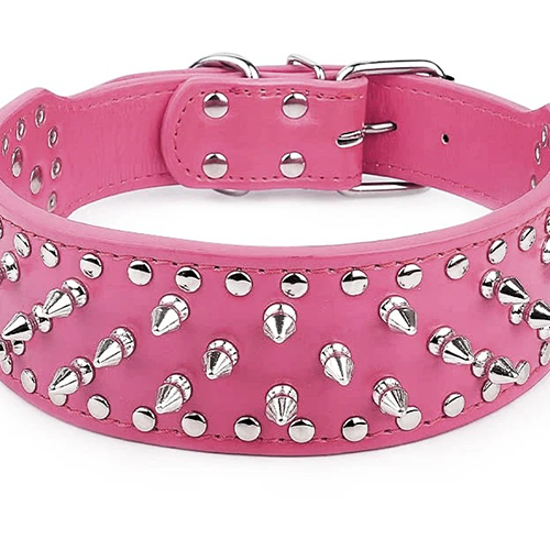 hundehalsbånd med pigge