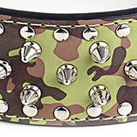 hundehalsbånd med pigge