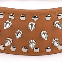 hundehalsbånd med pigge