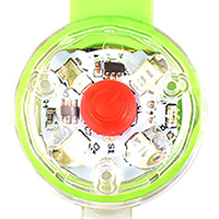 blinkende hundehalsbånd