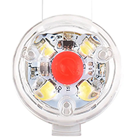 blinkende hundehalsbånd